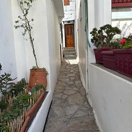 Lägenhet παραδοσιακό ειρήνη *